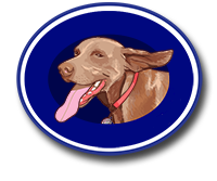 Zima Enterprises Inc Logo